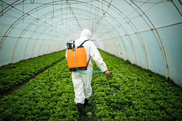  Rancho Murieta, CA Pest Control Pros