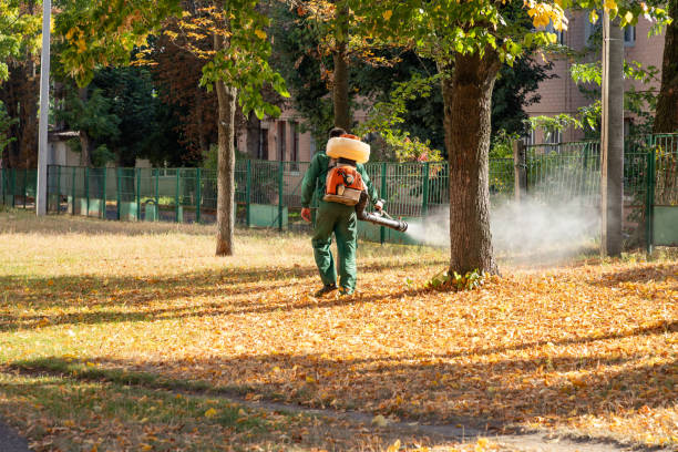 Best Best Pest Control Companies  in Rancho Murieta, CA