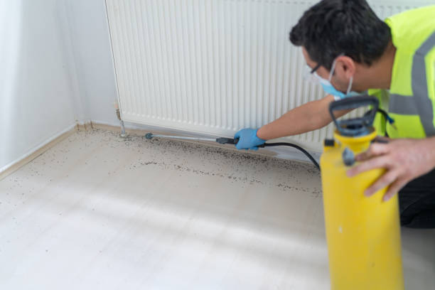Best Ant Control Services  in Rancho Murieta, CA