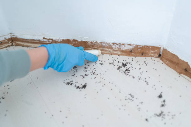 Best Bed Bug Extermination  in Rancho Murieta, CA